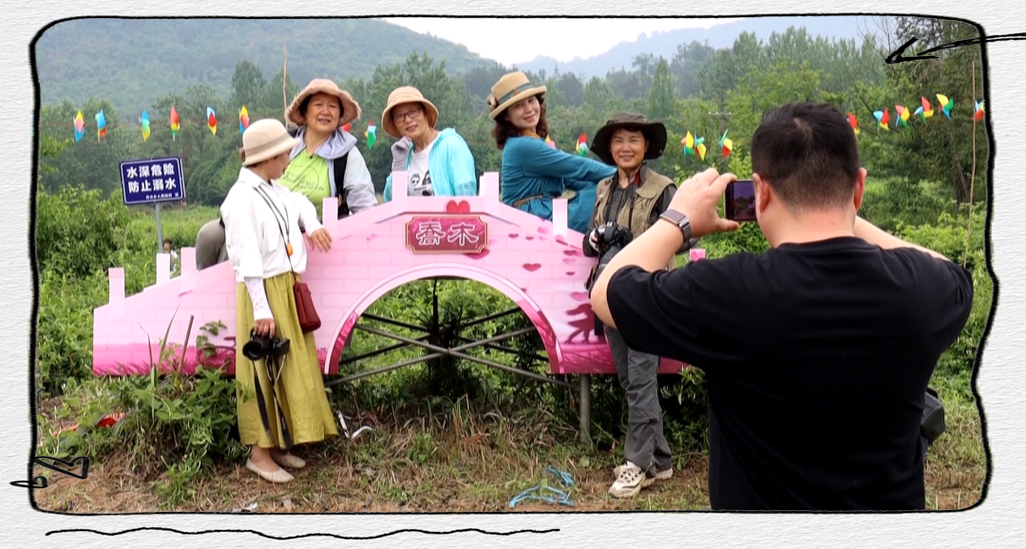 金银花产业促进凌塘村经济发展与旅游资源开发